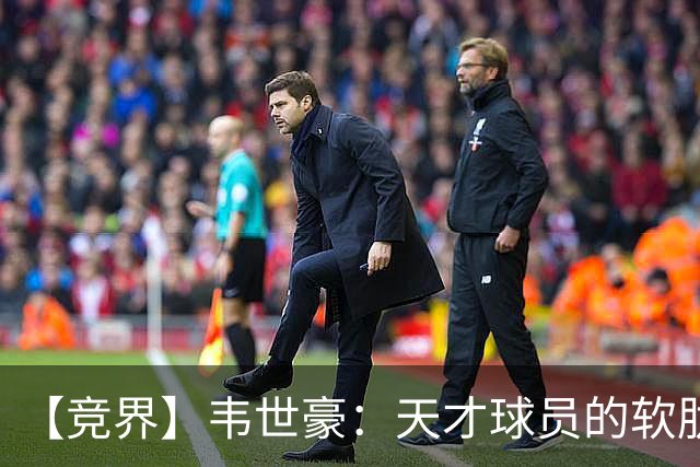 【竞界】韦世豪：天才球员的软肋 洪七公效应的外溢
